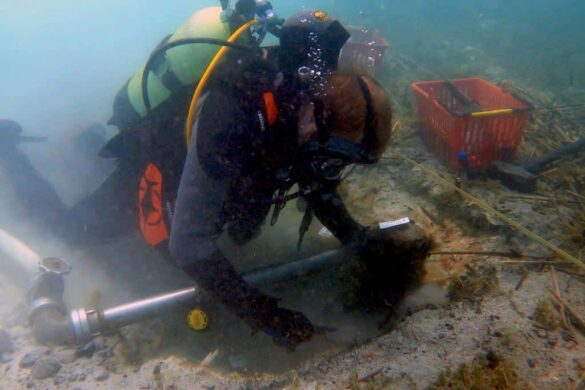 Archaeologists uncover oldest lakeside village known to date in Europe